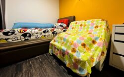 Floraview (D20), Apartment #522703871